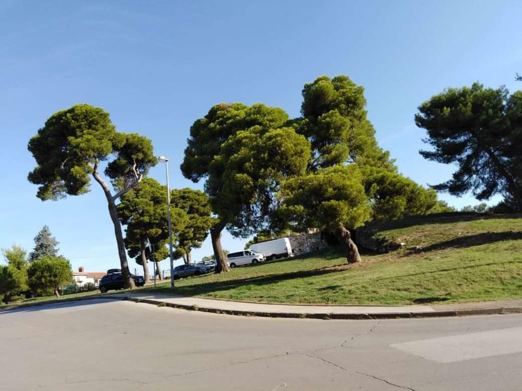 Apartman Miki Pula Exterior foto